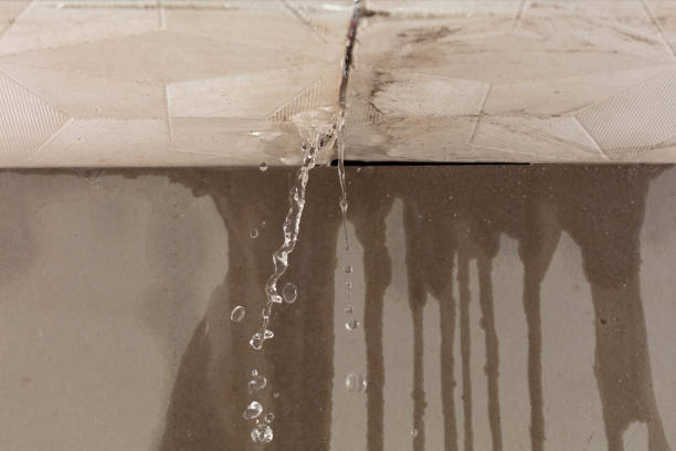 Professional Sewage Cleanup technician working in Benton, KY